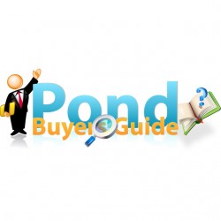 Business Logo Design Services