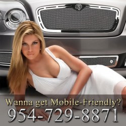 Mobile Friendly Website Upgrades