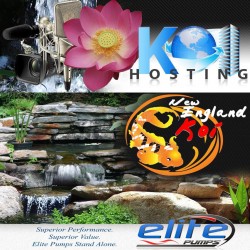 Social Media Custom Graphic Design